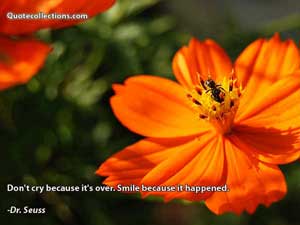Dr. Seuss Quotes 3